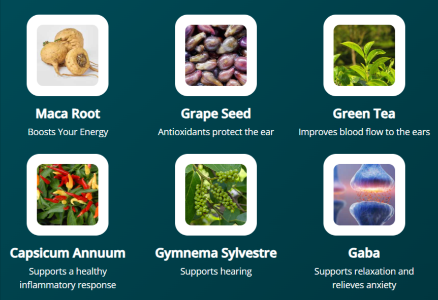 ingredients